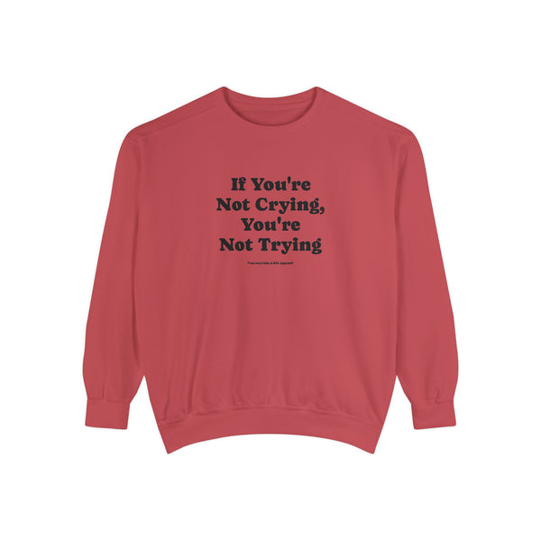 Unisex Garment-Dyed Sweatshirt - If You're Not Crying