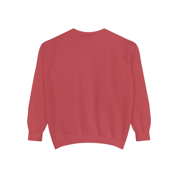 Unisex Garment-Dyed Sweatshirt - Need Money For Horse