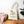 Cotton Canvas Tote Bag - Trainer Drinks