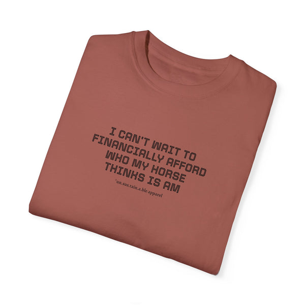 Unisex Garment-Dyed T-shirt - Financially Afford