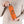 Copper Vacuum Insulated Bottle, 22oz - Stirrup