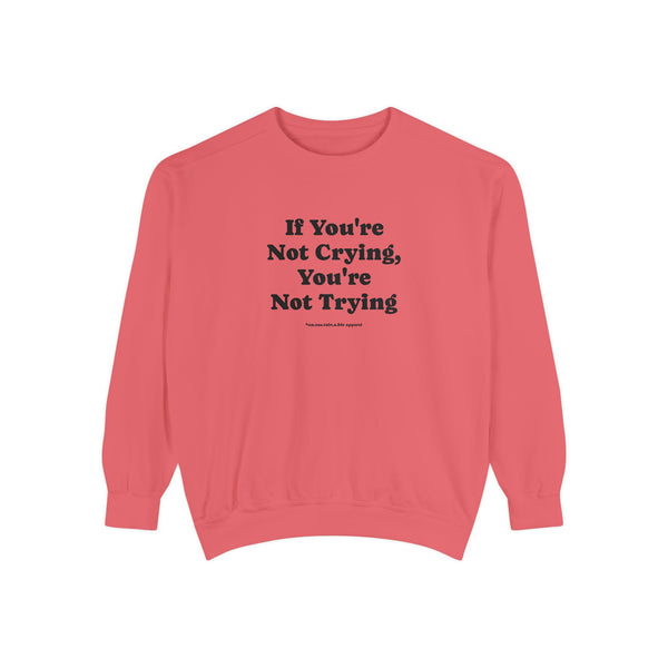 Unisex Garment-Dyed Sweatshirt - If You're Not Crying