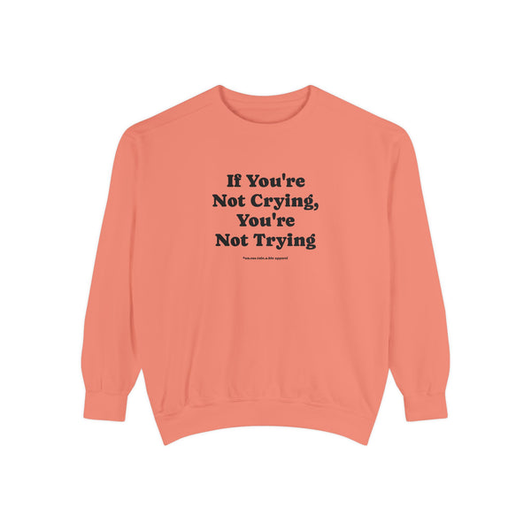 Unisex Garment-Dyed Sweatshirt - If You're Not Crying