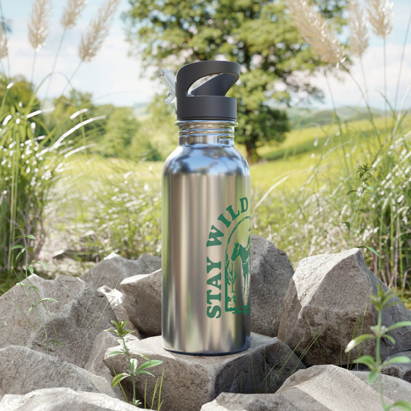 Stainless Steel Water Bottle With Straw, 20oz - Stay Wild & Free