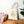 Cotton Canvas Tote Bag - Lower Your Standards