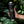 Copper Vacuum Insulated Bottle, 22oz - XC