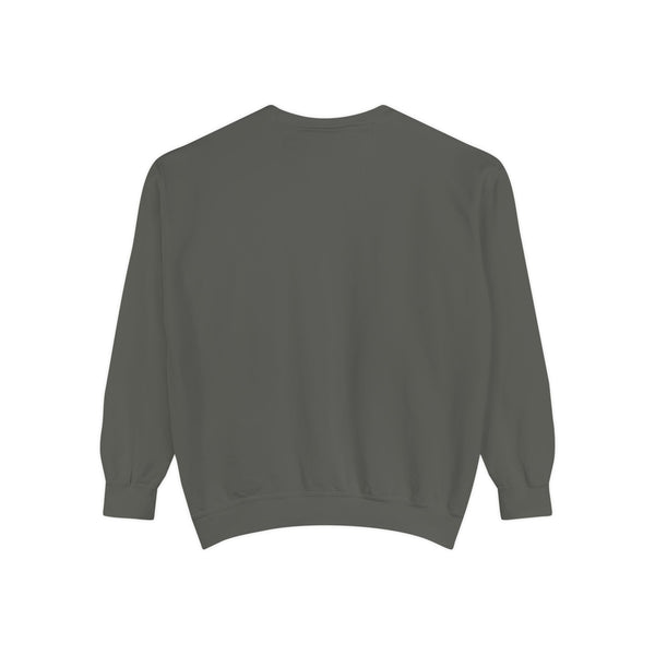 Premium Unisex Garment-Dyed Sweatshirt- Colors - Need Money For Horse